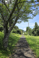 いすみ鉄道 久我原駅 (千葉 夷隅)