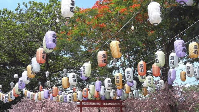 Various colored Japanese lanterns that decorate the cherry blossoms in rows. The text on the lantern is in Japanese Sushi.