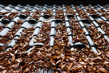 close up of a pile of rice