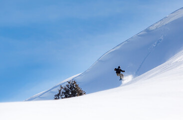 Snowboarder rides on fresh snow against blue sky and Christmas trees
