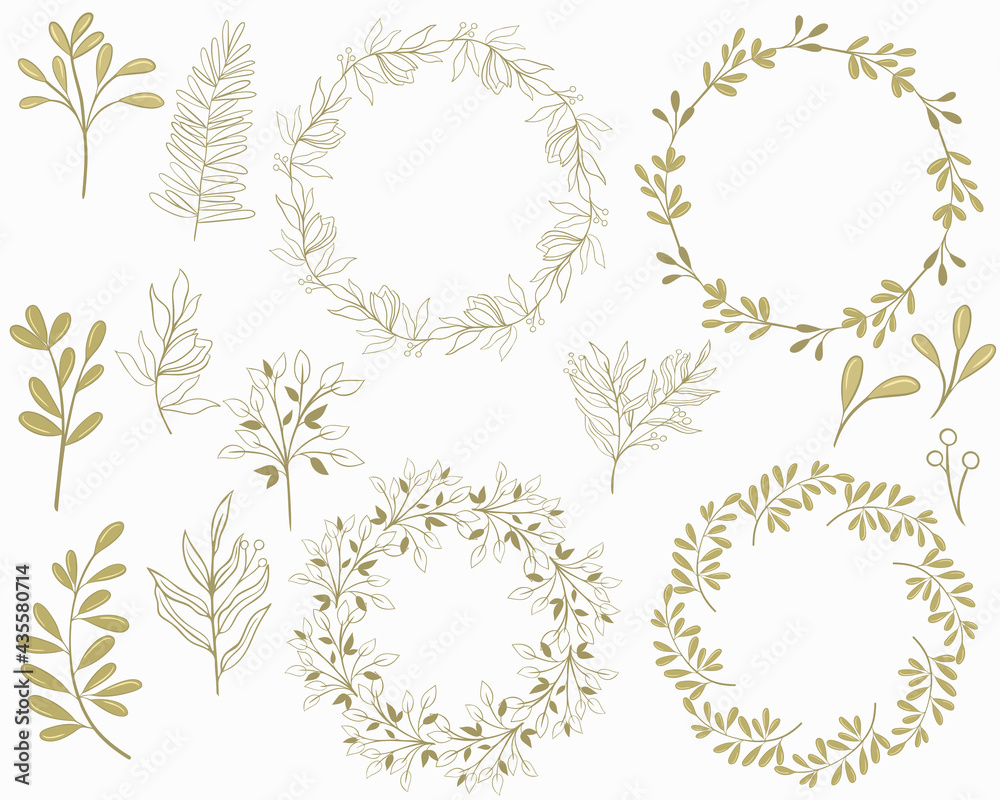 Wall mural set of botanical elements and round frames, vector. individual elements of plants - leaves, flowers 