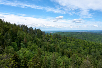 beautiful panarama view from a mountain with forest imposing rocks and under blue sky