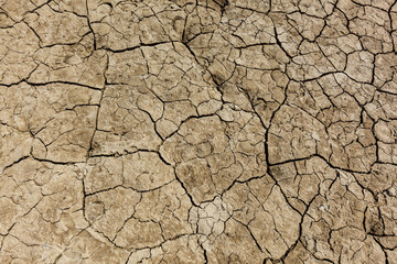 Cracked dry earth with cracks texture