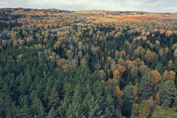 autumn forest landscape, view from a drone, aerial photography viewed from above in October park