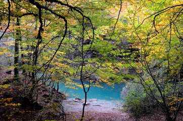 Autumnal image of the Urederra River Natural Reserve. Navarre. Spain