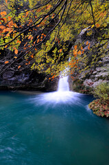 Fototapeta na wymiar Waterfall and pool in the river. Urederra River Natural Reserve. Navarre. Spain