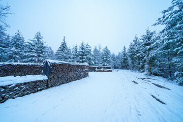 Schnee im Odenwald