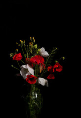 White and red wild flowers with a black background