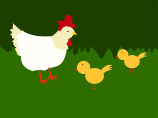 Obraz na płótnie Canvas Vector Illustration of Animals, Chicken and Chick Landscape