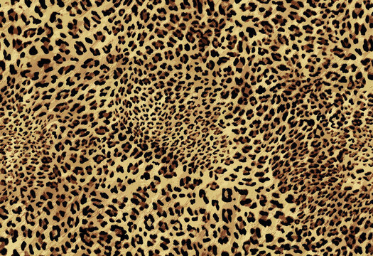 unique animal skin pattern	