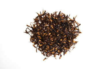 Termites isolated on white background.