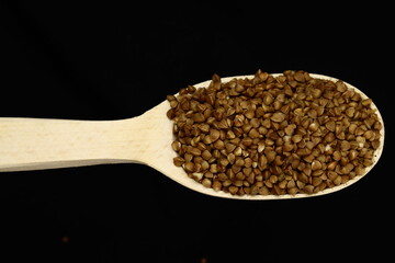 Buckwheat in a wooden spoon on a black background