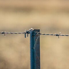 Frost on barbwire fence and post, Jerrabomberra West Nature Reserve, ACT, May 2021
