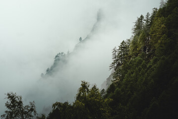 Berghang mit Wald und dicken Wolken