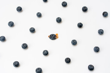 Blueberries are neatly arranged on a white background