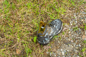 torn and dirty sneakers lie on the street 