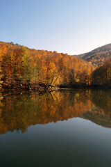 Fall colour reflected in the still waters. Yedigoller National Park, Autumn views. Bolu, Turkey