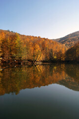 Fall colour reflected in the still waters. Yedigoller National Park, Autumn views. Bolu, Turkey
