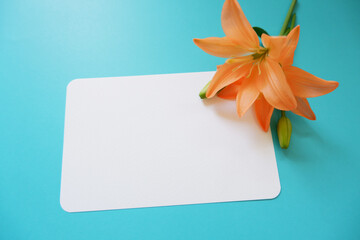 Invitation card mockup. Template blank greeting card to the wedding, birthday and other events. Paper on blue color background with orange flowers. Concept of writing summer message.