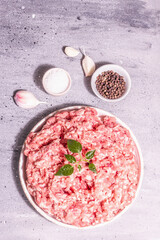 Fototapeta na wymiar Raw pork minced meat in a ceramic stand