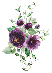 Watercolor purple flowers and green leaves bouquet illustration