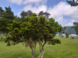 Fototapeta premium Sete Cidades on Sao Miguel, Azores Islands