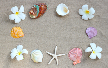 Frame made of plumeria flowers with starfish and seashells on sand. Summer background concept