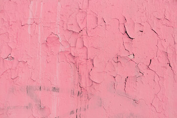 Obraz premium Destroyed Pink Peeling Faded Paint Texture Background.