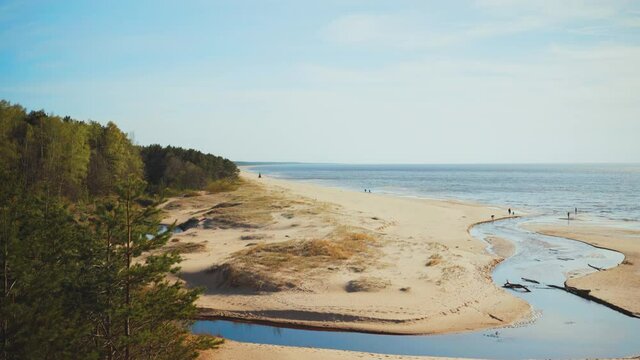 The river flows into the Baltic Sea at Saulkrasti. People walk along the yellow sand of the beach on a sunny warm spring day. Trees grow on a tall white dune in Latvia.