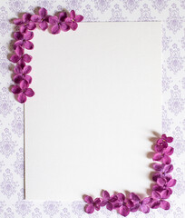 Background with copy space blank on table with lilac purple flower. White paper top view, flat lay, minimal style. Moke up card