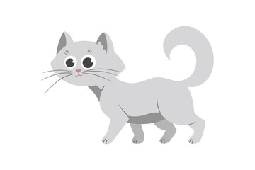 cute grey little cat vector illustration on white.