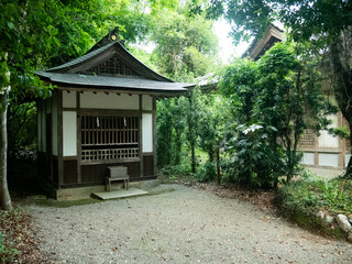 Naklejka premium 新緑の神社