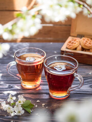 Tea party on a wooden table with branches of blossoming cherry. Black tea in glass mugs. Cherry...