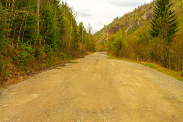 forest mountains and road Siberia 