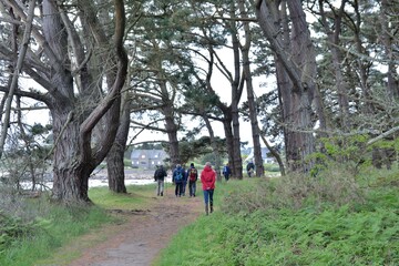 Obraz premium Retired hikers on a path in Brittany. France