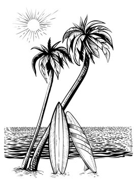 Surf beach, vector drawing. Surfboards under palms.