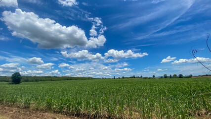field and sky