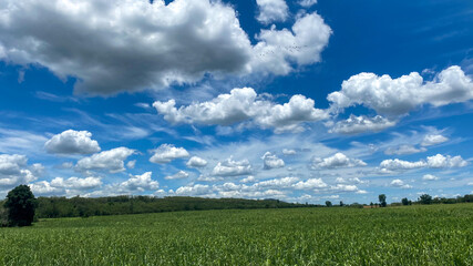 field and blue sky