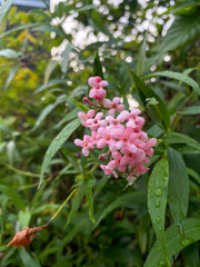 Photo taken with Focos