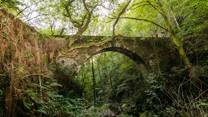 Antiguo puente de piedra sobre un rio 
