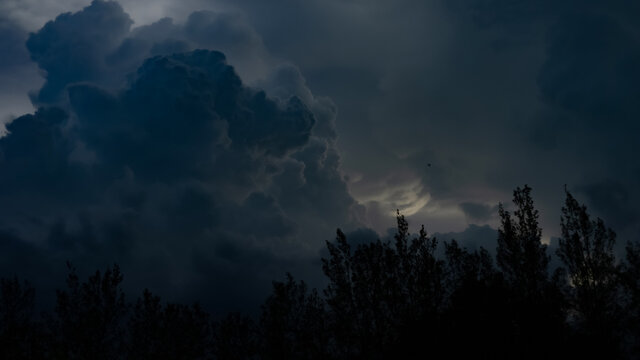 Thunderstorm, Trees bending in the strong wind and a little bird flying through the storm.