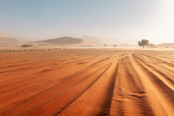 Fototapeta na wymiar Sandstorm in Sossusvlei in the Namib desert