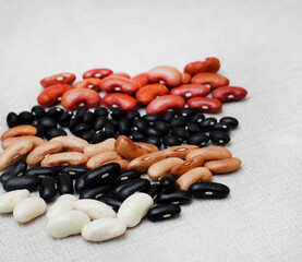 Variety of dry beans