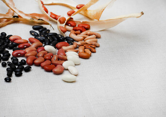 Dry beans with copy space