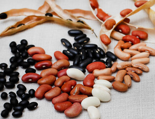 mixed dry beans and pods