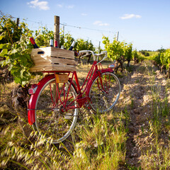 Caisse de bouteilles de vins à l'arrière du vieux vélo rouge d'un vigneron dans les vignes.