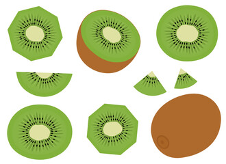 Obraz premium Kiwi vector illustration. Set tropical fruits slices