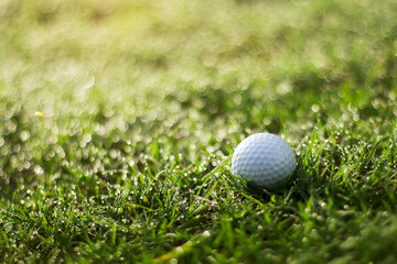 golf ball is on a green lawn in a beautiful golf course