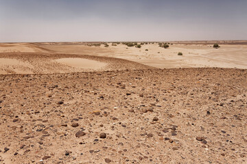 Sahara w Maroku, 2013