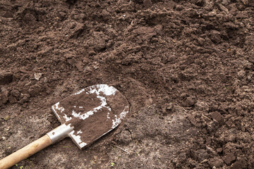 Brown soil ground texture background and shovel on garden bed in farm garden. Organic farming,...